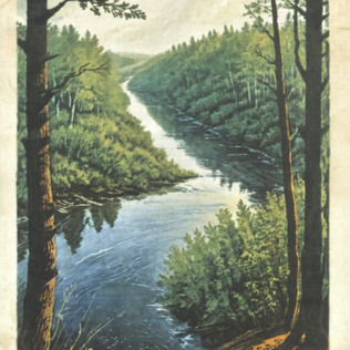 Forest River